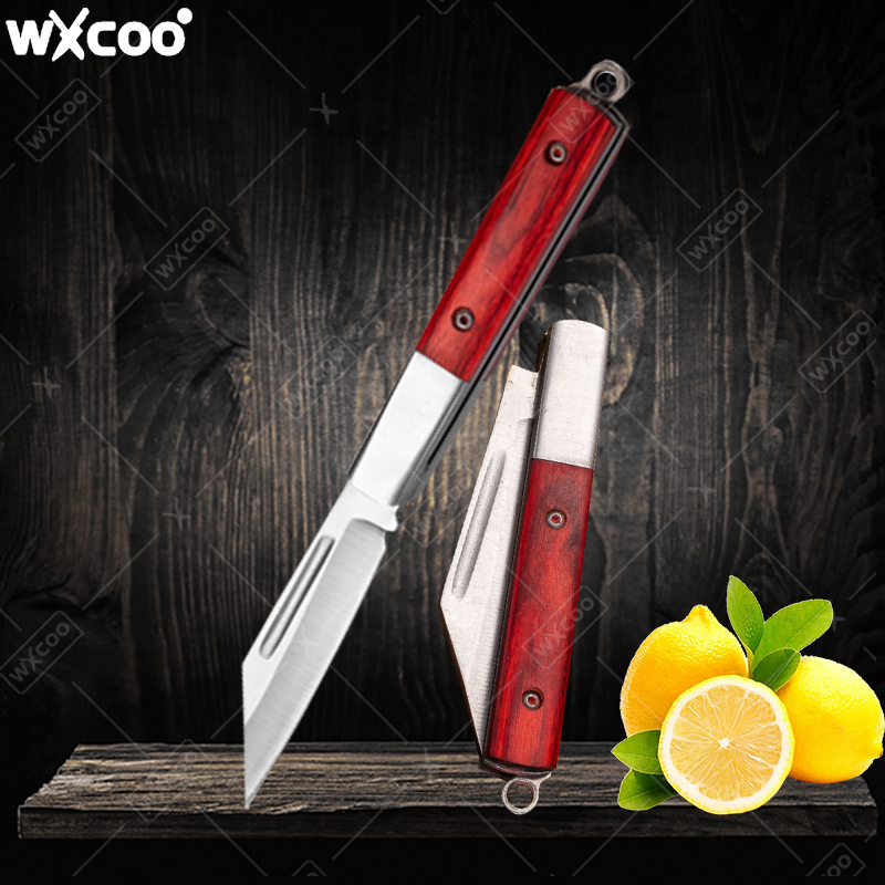 Stainless Steel Pocket Knife R - Kitchen Gadgets You Need 评论和价格
