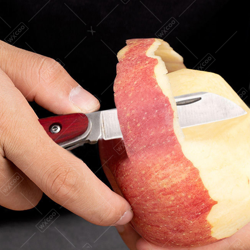Stainless Steel Pocket Knife R - Kitchen Gadgets You Need 评论和价格